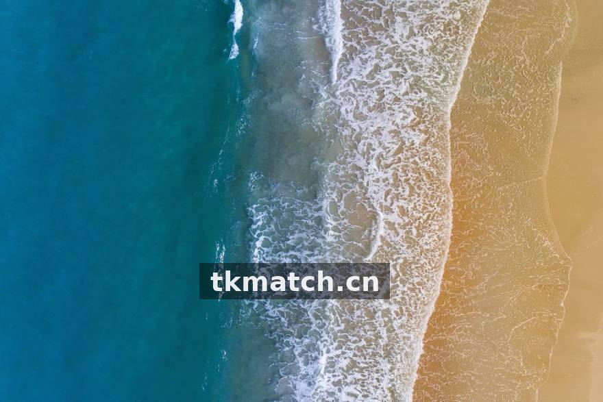 TK体育 德甲年轻球员流动观察