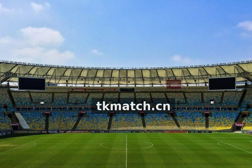 德甲转会市场观察：TK体育分析年轻球员流动趋势
