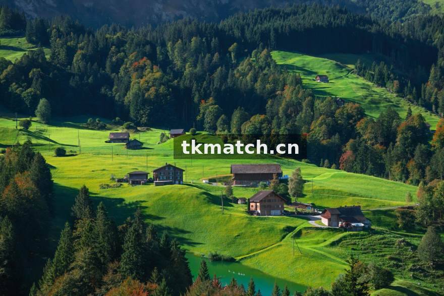 TK体育数据洞察：英超新赛季攻防节奏变化解析